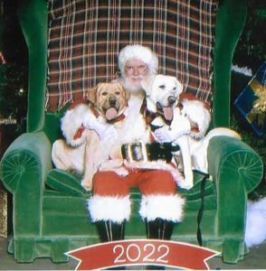 Meet your Posher, Patricia